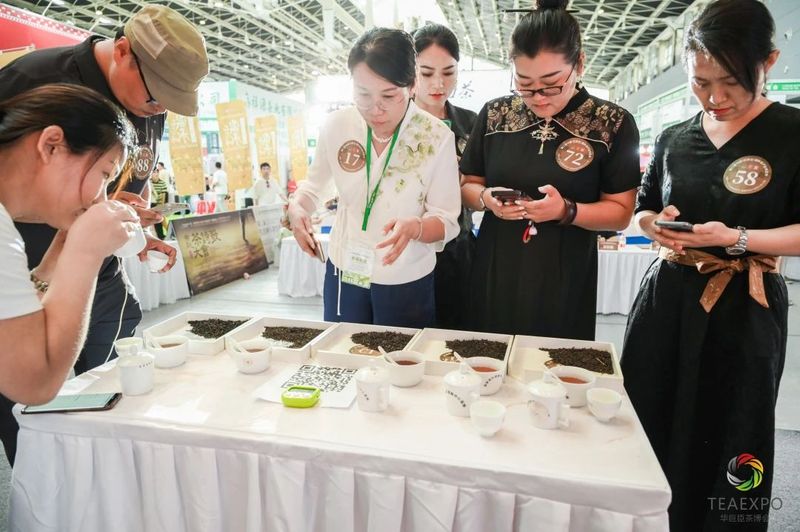 有关于 “花香六堡”杯鼎承品茶师·首届燕赵六堡茶斗茶大赛圆满收官！的消息(14)