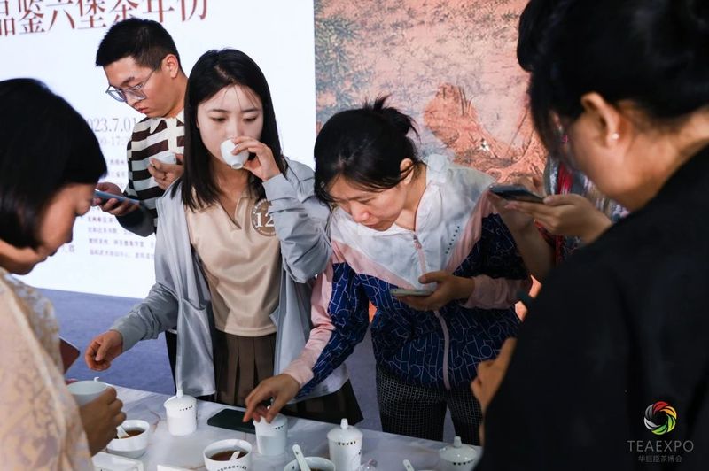 有关于 “花香六堡”杯鼎承品茶师·首届燕赵六堡茶斗茶大赛圆满收官！的消息(15)