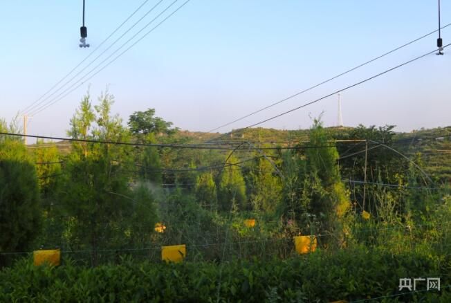 有关于科技“甘泉”助力茶园长出“金叶子”的相关信息(2)