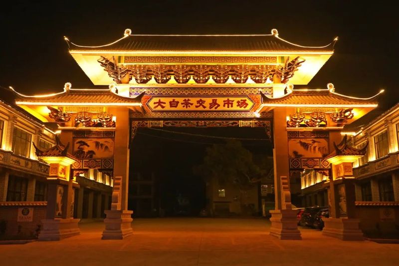 关于景谷民乐：“沪滇帮扶”项目为景谷大白茶产业发展注入“源头活水”的新闻(4)