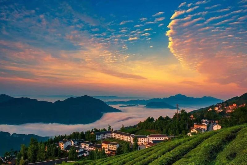 有关于湖南石门：山环水绕，茶为香饵，美食回肠……茶旅融合格局浑然天成的最新消息(8)