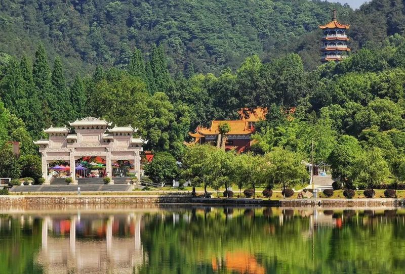 有关于湖南石门：山环水绕，茶为香饵，美食回肠……茶旅融合格局浑然天成的最新消息(4)