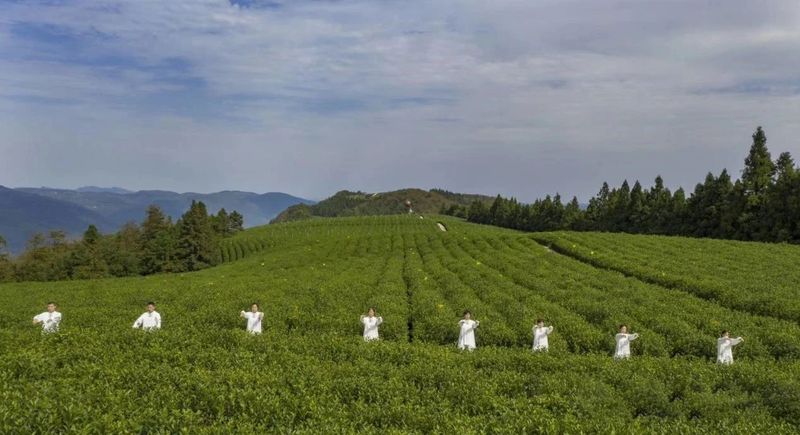 有关于湖南石门：山环水绕，茶为香饵，美食回肠……茶旅融合格局浑然天成的最新消息(6)