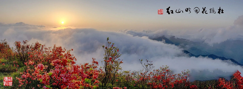 有关于福建寿宁：“廊桥水乡，状元故里”-赏非遗，享山水福地的资讯(3)
