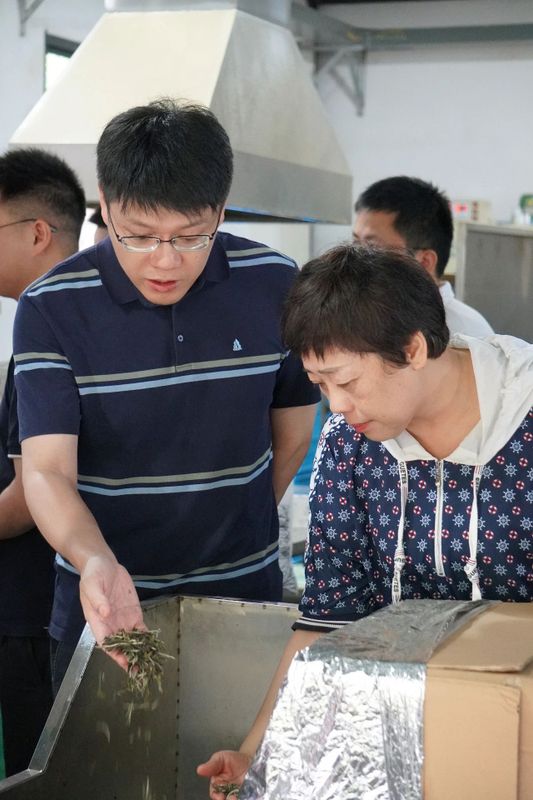 有关于国子白 :北大调研白茶产业,贡献青春智慧的资讯(3)