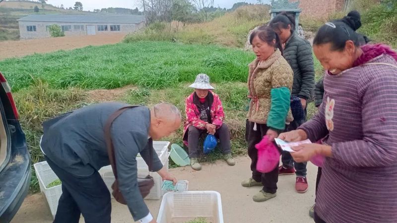 有关于一名基层人大代表的初心：通过茶产业的发展带领致富的相关信息(11)
