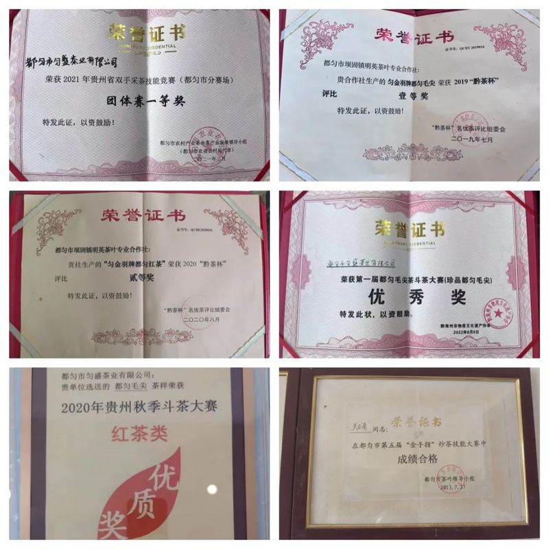 有关于一名基层人大代表的初心：通过茶产业的发展带领致富的相关信息(7)