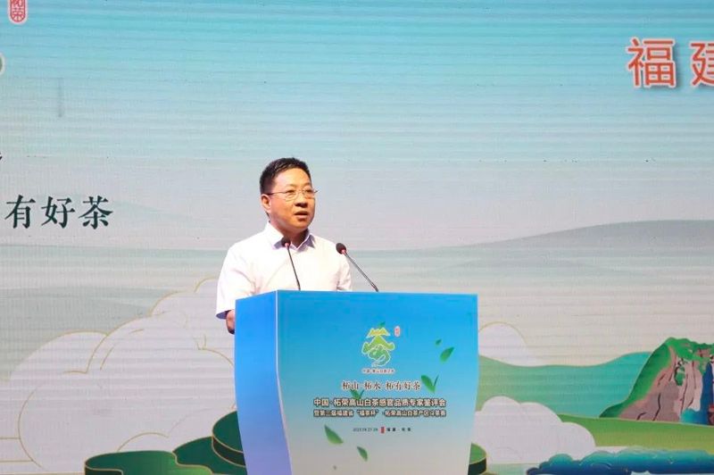 关于三大茶王出炉！这场高山白茶盛会展现柘荣好茶精彩的内容(1)
