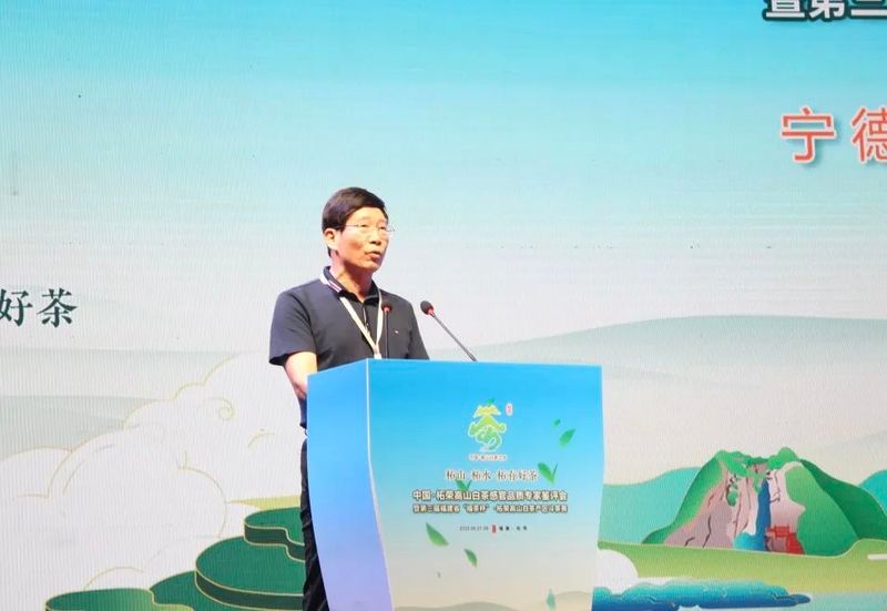 关于三大茶王出炉！这场高山白茶盛会展现柘荣好茶精彩的内容(2)