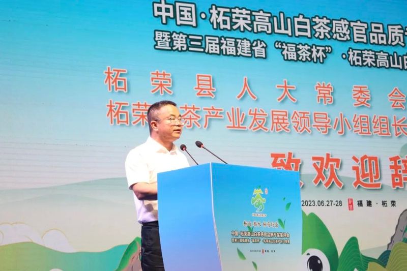 关于三大茶王出炉！这场高山白茶盛会展现柘荣好茶精彩的内容(3)