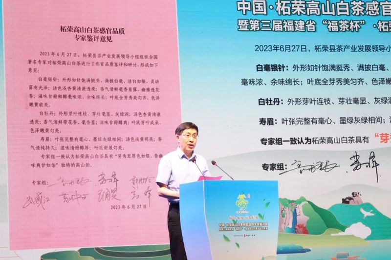 关于三大茶王出炉！这场高山白茶盛会展现柘荣好茶精彩的内容(4)
