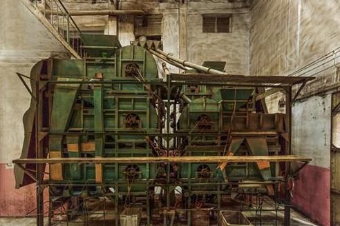 有关于湖北宜都：对标“欧标”，茶园向生态低碳迈进的消息(2)