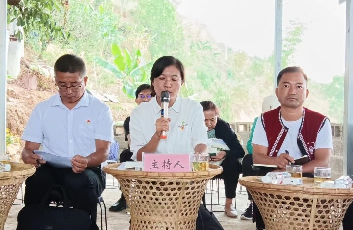 关于临沧耿马：“院坝协商”共商户南村茶产业发展大计的内容(3)