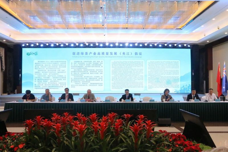 有关于国内外茶行业大咖齐聚，中国绿茶产业“破圈”路在何方？的内容(8)