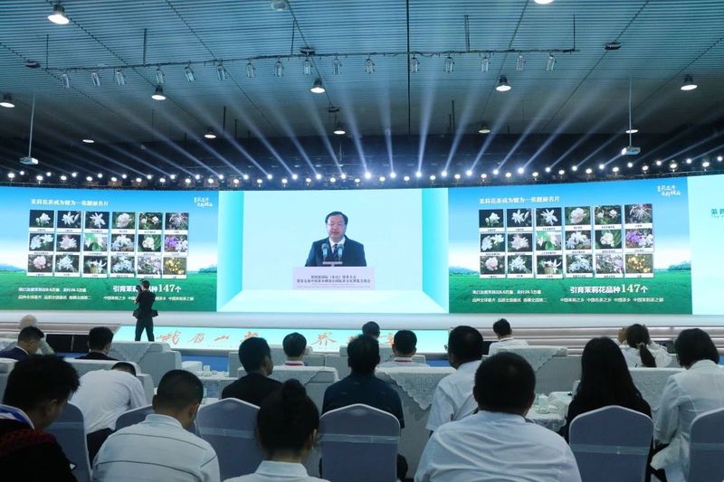 有关于国内外茶行业大咖齐聚，中国绿茶产业“破圈”路在何方？的内容(5)