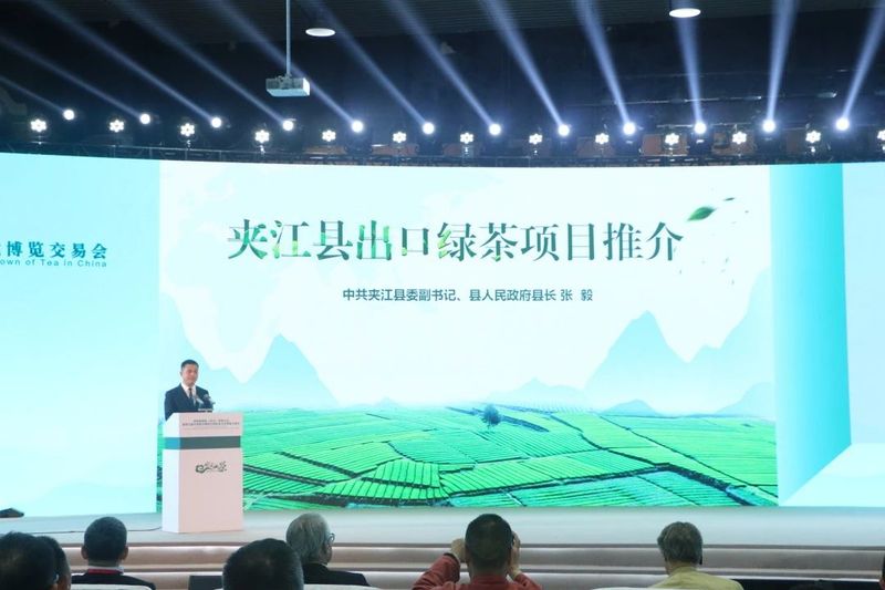 有关于国内外茶行业大咖齐聚，中国绿茶产业“破圈”路在何方？的内容(4)