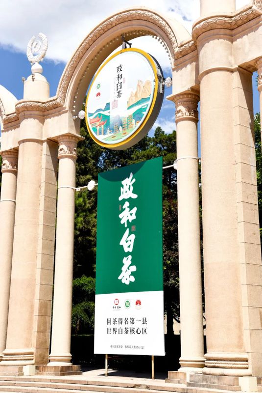 有关于政和县携9家茶企组团参加2023年北京国际茶业展的最新消息(4)