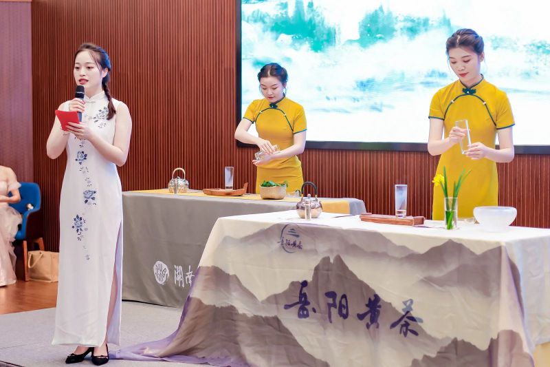 关于洞庭山水秀 岳阳黄茶香 香茗动京城 醇香飘世界——岳阳黄茶(北京)专场推介亮相2023北京国际茶业展的新闻(8)