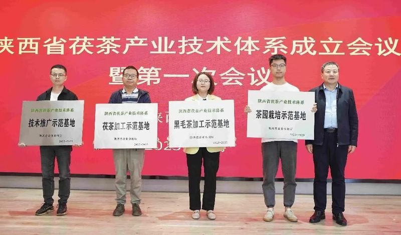 有关于陕西省成立茯茶产业技术体系的资讯(1)