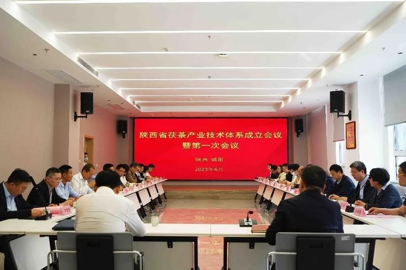 有关于陕西省成立茯茶产业技术体系的资讯(2)