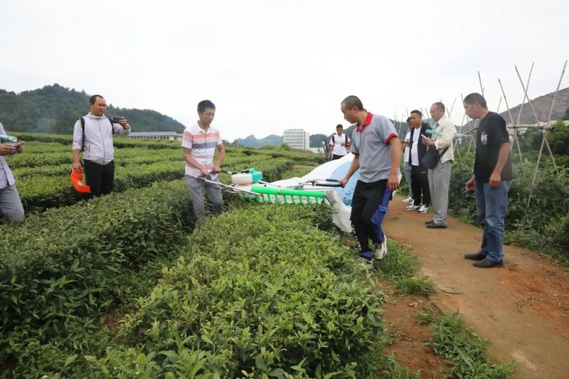 有关于都匀市茶园办“学堂” 助推茶农致富有保障的相关内容(3)