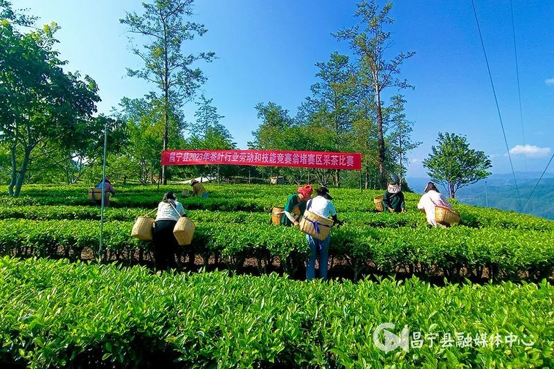 关于茶香四溢，翁堵镇这场比赛超“燃”的最新消息