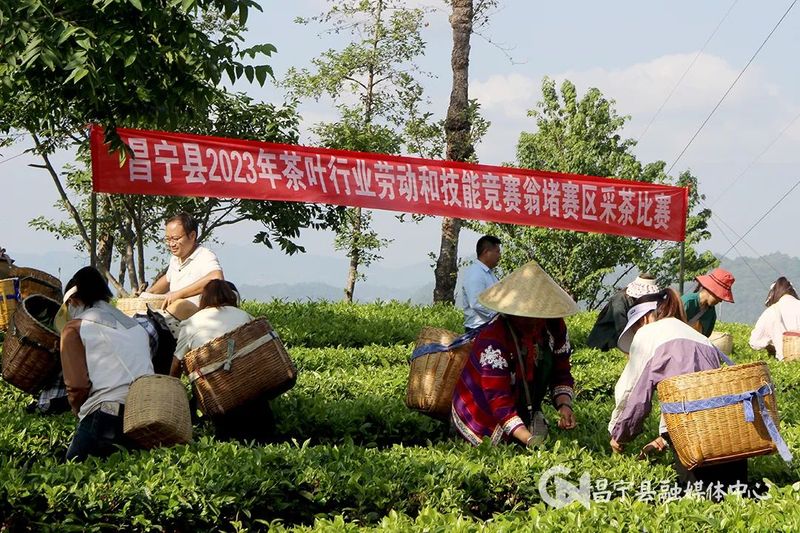 关于茶香四溢，翁堵镇这场比赛超“燃”的最新消息(1)