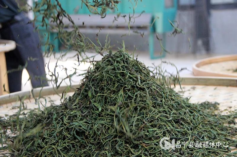 关于茶香四溢，翁堵镇这场比赛超“燃”的最新消息(3)