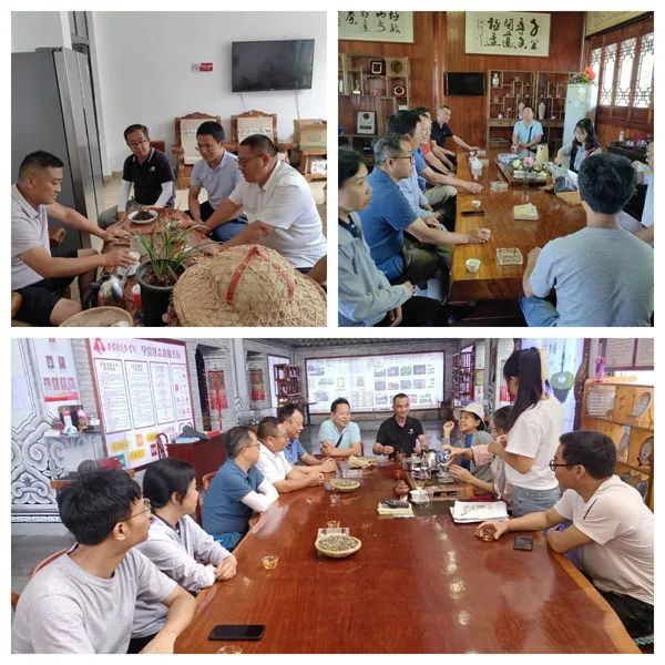 关于云南茶叶所专家到保山市开展茶产业调研的新闻(1)