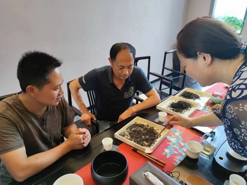 有关于一片茶叶铺就一条共富之路的新闻