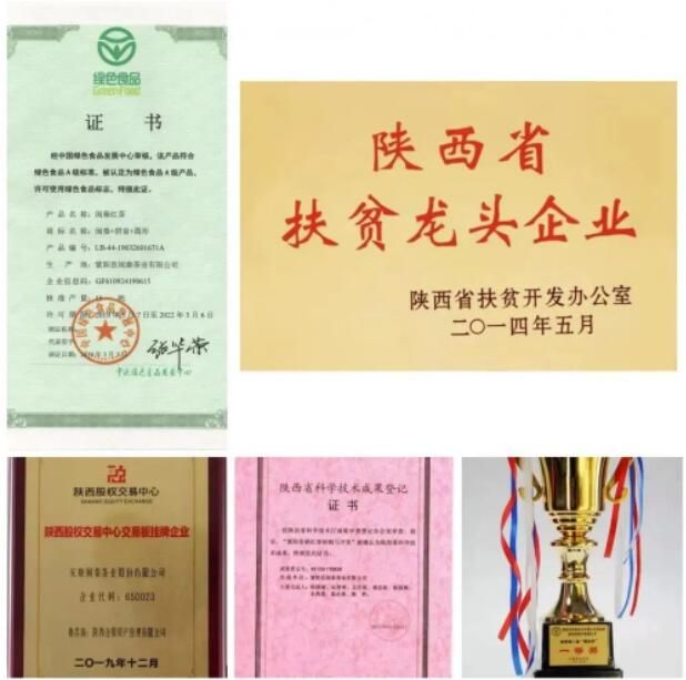 关于双桥镇荣获陕西“十佳茶产业振兴示范镇”荣誉称号的新闻(10)