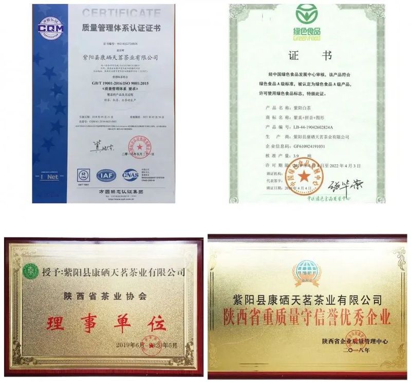 关于双桥镇荣获陕西“十佳茶产业振兴示范镇”荣誉称号的新闻(5)