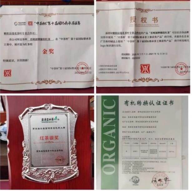 关于双桥镇荣获陕西“十佳茶产业振兴示范镇”荣誉称号的新闻(7)