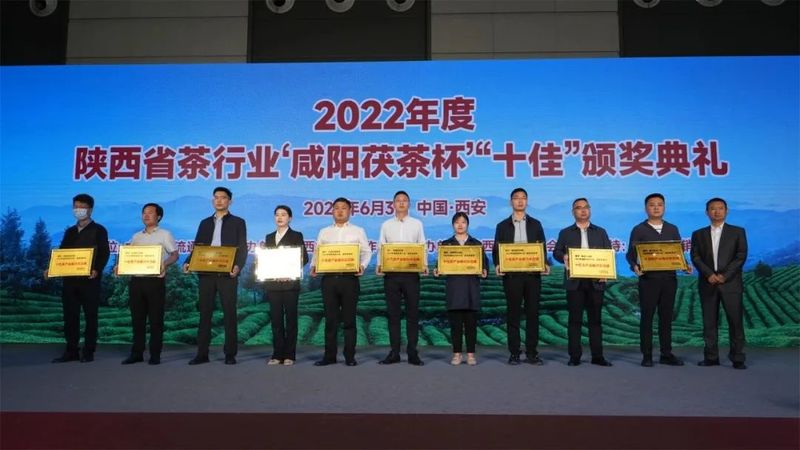 关于双桥镇荣获陕西“十佳茶产业振兴示范镇”荣誉称号的新闻