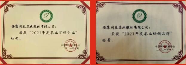 关于双桥镇荣获陕西“十佳茶产业振兴示范镇”荣誉称号的新闻(6)