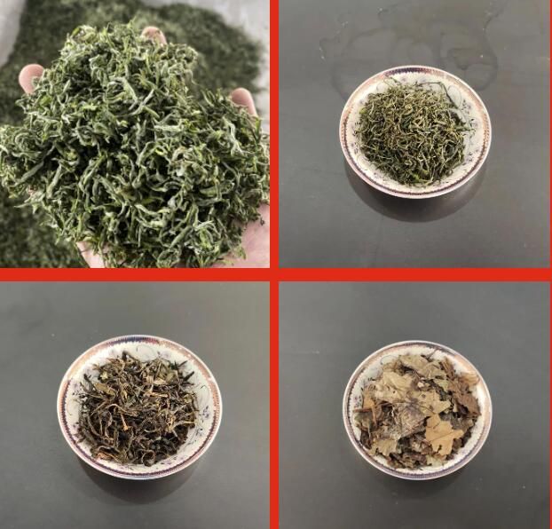 关于双桥镇荣获陕西“十佳茶产业振兴示范镇”荣誉称号的新闻(8)