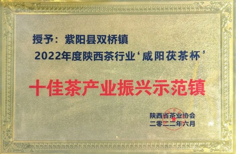 关于双桥镇荣获陕西“十佳茶产业振兴示范镇”荣誉称号的新闻(1)