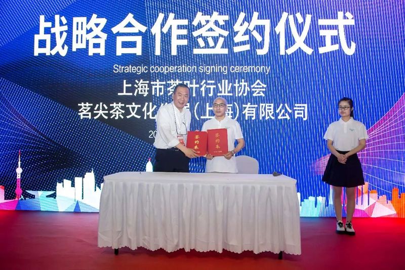 有关于“三茶”融合创新发展论坛暨饮号智能茶艺师新闻发布会在上海国家会展中心举行的资讯(5)