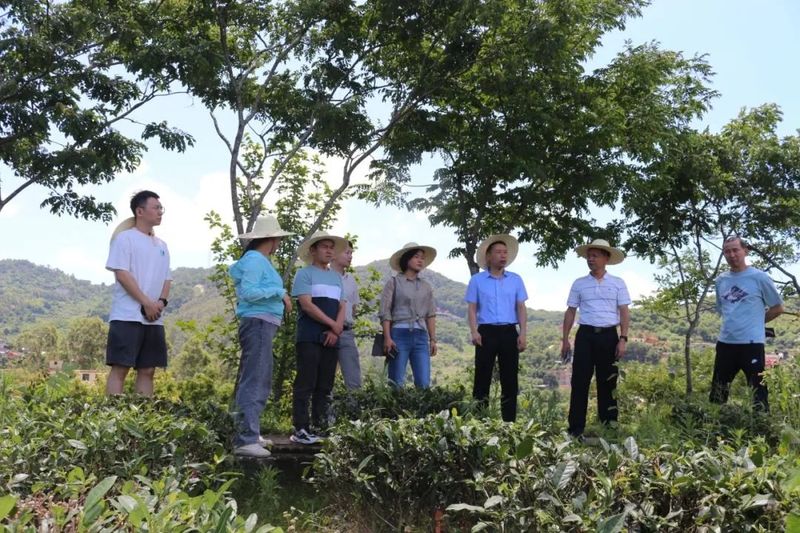 关于安溪气象：多部门共同开展安溪茶产业碳中和业务交流的信息