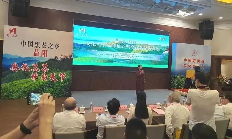 有关于安化黑茶高端新品重磅发布！的最新消息