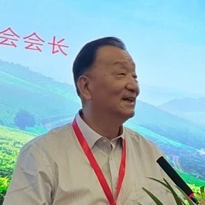 有关于安化黑茶高端新品重磅发布！的最新消息(2)