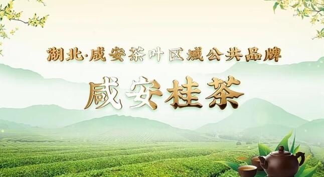关于区域公共品牌“咸安桂茶”诞生！咸安茶叶有了“集体商标”的资讯
