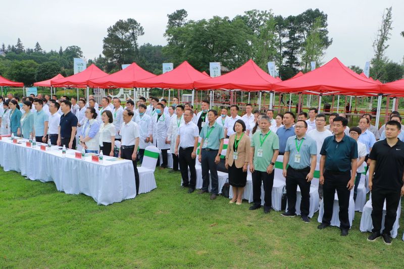 有关于长沙市2023 年“星城杯”手工制茶技能竞赛在金井茶厂隆重举行的新闻(1)