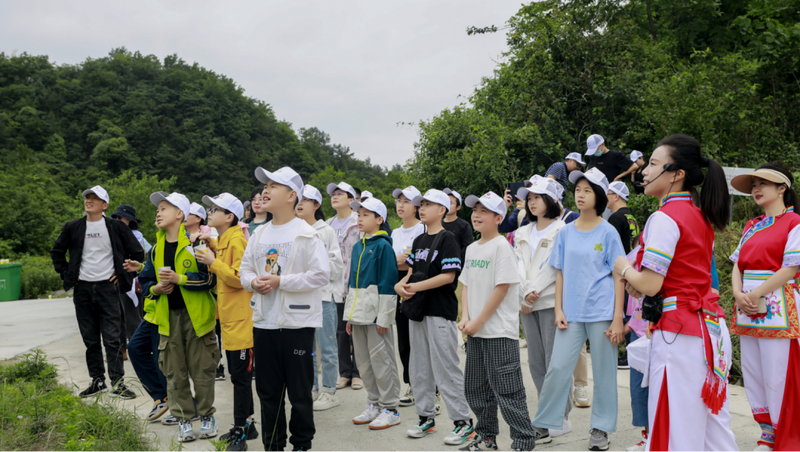 关于桑植白茶与文学邂逅 文化赋能茶产业发展的新闻(3)