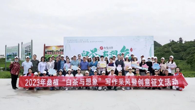 关于桑植白茶与文学邂逅 文化赋能茶产业发展的新闻(6)