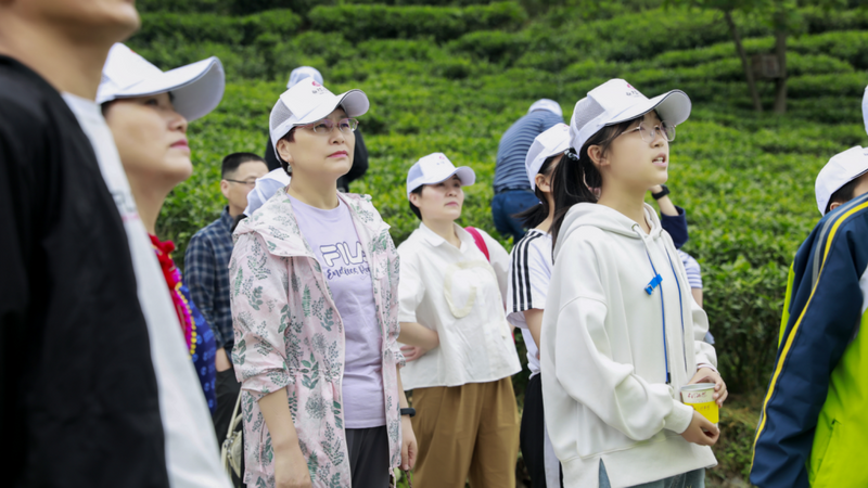 关于桑植白茶与文学邂逅 文化赋能茶产业发展的新闻(2)