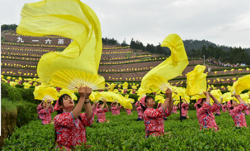 关于舒城县人民政府副县长胡久松:舒城小兰花，总产值23.5亿元 涉及5.5万农户生计的大产业的最新消息(4)
