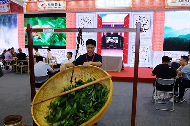 关于茶产业盛会2023“两展一节”今日开幕 特设十周年回顾展的消息(1)