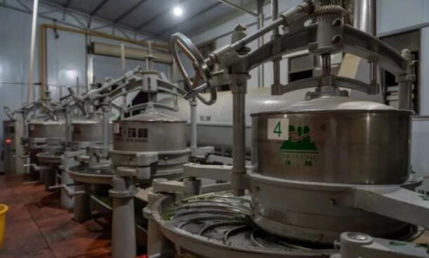 关于人民日报关注昭平茶产业发展的相关内容(1)