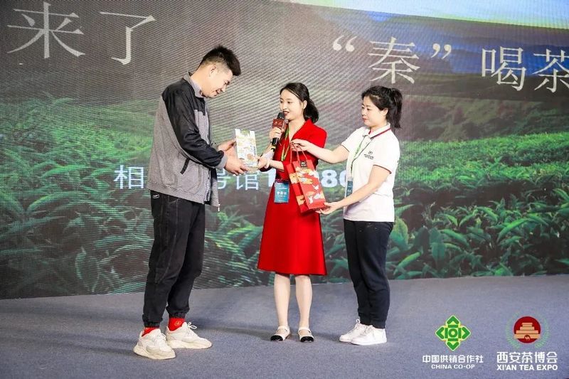 有关于湖北省茶业集团亮相第十七届中国西安国际茶业博览会的消息(10)